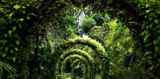 6 Beautiful Gardens In Singapore To Restore Your Mind & Soul 6 Beautiful Gardens In Singapore To Restore Your Mind & Soul - Singapore Botanic Gardens