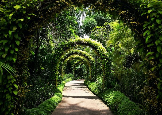6 Beautiful Gardens In Singapore To Restore Your Mind & Soul - Singapore Botanic Gardens