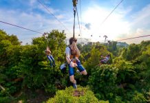 7 Top Family-Friendly Attractions On Sentosa Island 7 Top Family-Friendly Attractions On Sentosa Island - Mega Adventure