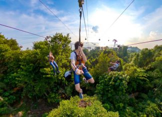 7 Top Family-Friendly Attractions On Sentosa Island 7 Top Family-Friendly Attractions On Sentosa Island - Mega Adventure