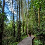 5 Offshore Islands to Explore For a Unique Singapore Experience 5 Offshore Islands To Explore For A Unique Singapore Experience - Coney Island