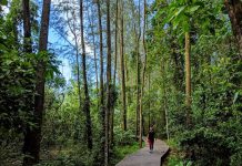 5 Offshore Islands to Explore For a Unique Singapore Experience 5 Offshore Islands To Explore For A Unique Singapore Experience - Coney Island