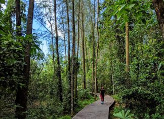 5 Offshore Islands to Explore For a Unique Singapore Experience 5 Offshore Islands To Explore For A Unique Singapore Experience - Coney Island