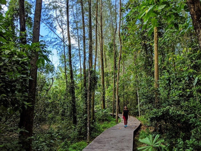 5 Offshore Islands To Explore For A Unique Singapore Experience - Coney Island