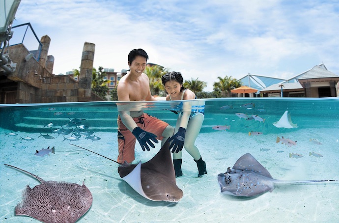6 Best Family-Friendly Water Parks In Singapore - Adventure Cove Waterpark