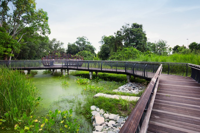 5 Best Cycling Routes Across Singapore’s Tranquil Nature Parks - From Sungei Buloh Wetland Reserve to Lim Chu Kang Road