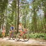 5 Scenic Cycling Routes Across Singapore’s Nature Parks 5 Best Cycling Routes Across Singapore’s Tranquil Nature Parks - Coney Island