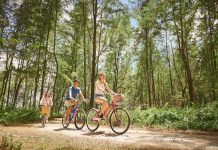5 Scenic Cycling Routes Across Singapore’s Nature Parks 5 Best Cycling Routes Across Singapore’s Tranquil Nature Parks - Coney Island