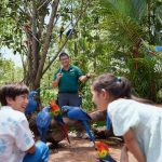 4 Reasons Why You Need Go City’s Pass When Sightseeing In Singapore 4 Reasons Why You Need Go City’s Pass When Sightseeing In Singapore - Bird Paradise