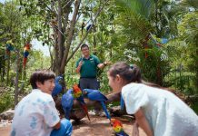 4 Reasons Why You Need Go City’s Pass When Sightseeing In Singapore 4 Reasons Why You Need Go City’s Pass When Sightseeing In Singapore - Bird Paradise