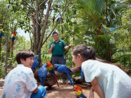4 Reasons Why You Need Go City’s Pass When Sightseeing In Singapore 4 Reasons Why You Need Go City’s Pass When Sightseeing In Singapore - Bird Paradise