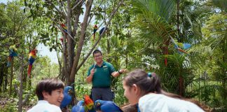 4 Reasons Why You Need Go City’s Pass When Sightseeing In Singapore 4 Reasons Why You Need Go City’s Pass When Sightseeing In Singapore - Bird Paradise