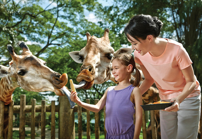 4 Reasons Why You Need Go City’s Pass When Sightseeing In Singapore - Singapore Zoo