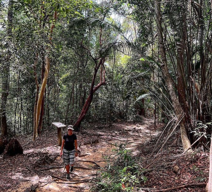 6 Best Natural Spots To Visit In Penang – Penang National Park
