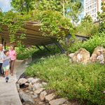 6 Nature Trails in Singapore to Explore with Kids 6 Nature Trails in Singapore to Explore with Kids - Singapore Botanic Gardens