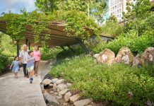 6 Nature Trails in Singapore to Explore with Kids 6 Nature Trails in Singapore to Explore with Kids - Singapore Botanic Gardens