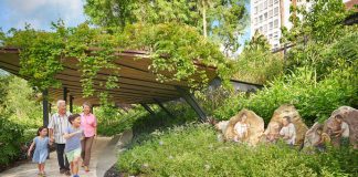 6 Nature Trails in Singapore to Explore with Kids 6 Nature Trails in Singapore to Explore with Kids - Singapore Botanic Gardens