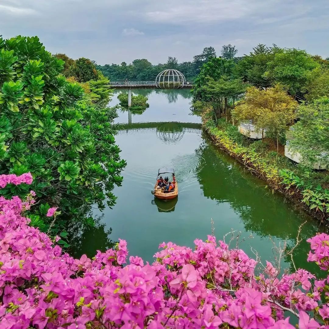 6 Nature Trails in Singapore to Explore with Kids - Punggol Waterway Park