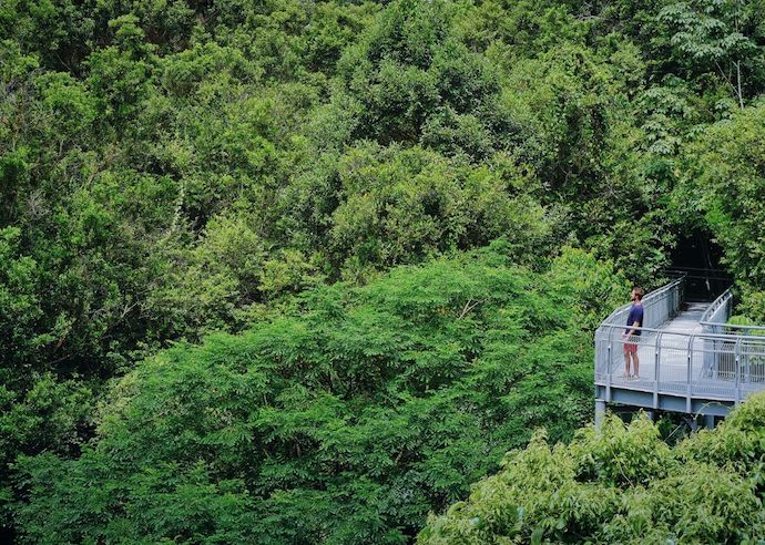 6 Nature Trails in Singapore to Explore with Kids - Southern Ridges