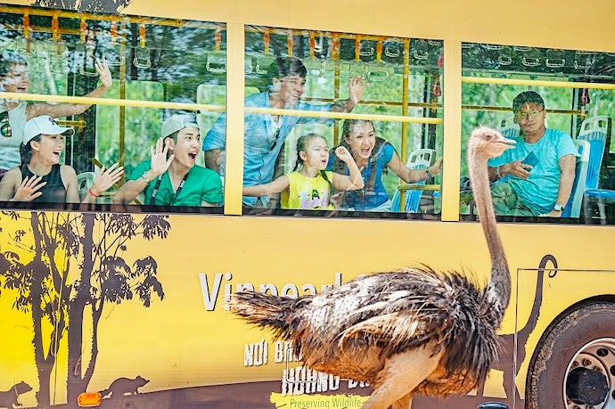 5 Best Experiences in Phu Quoc, Vietnam’s Largest Island - Spot white lions at Vinpearl Safari Phu Quoc & conquer thrilling games at VinWonders Phu Quoc