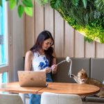 4 Pawpular Cat & Dog Petting Cafes To Visit In Singapore 4 Pawpular Cat & Dog Petting Cafes To Visit In Singapore - Meownistry of Meow