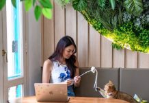 4 Pawpular Cat & Dog Petting Cafes To Visit In Singapore 4 Pawpular Cat & Dog Petting Cafes To Visit In Singapore - Meownistry of Meow