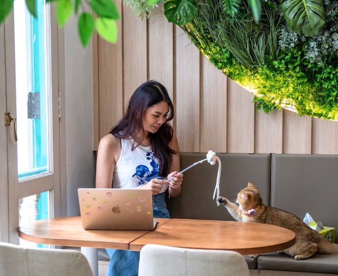 4 Pawpular Cat & Dog Petting Cafes To Visit In Singapore - Meownistry of Meow