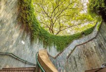 6 Unique Parks To Visit In Singapore 6 Unique Parks To Visit In Singapore - Fort Canning Park