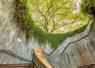 6 Unique Parks To Visit In Singapore 6 Unique Parks To Visit In Singapore - Fort Canning Park