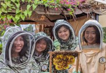 7 Under-The-Radar Nature Experiences To Discover In Singapore 7 Under-The-Radar Nature Experiences To Discover In Singapore - Get digging and buzzing at The Sundowner