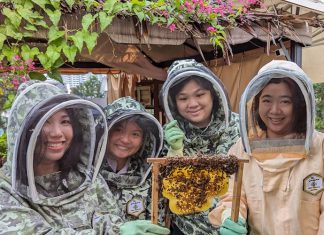 7 Under-The-Radar Nature Experiences To Discover In Singapore 7 Under-The-Radar Nature Experiences To Discover In Singapore - Get digging and buzzing at The Sundowner