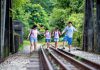 8 Must-Visit Spots On Singapore’s Revitalised Rail Corridor 8 Must-Visit Spots On Singapore’s Revitalised Rail Corridor