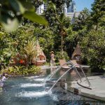 4 Fresh Experiences at the Revitalised Grand Hyatt Singapore 4 Fresh Experiences at the Revitalised Grand Hyatt Singapore - Wellness Pool