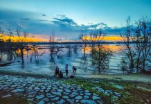 7 Things To Do, Eat & See at Seletar & Seletar Aerospace Park 7 Things To Do, Eat & See at Seletar & Seletar Aerospace Park - Seletar Fishing Village