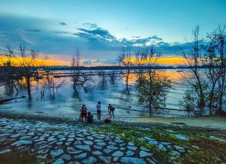 7 Things To Do, Eat & See at Seletar & Seletar Aerospace Park 7 Things To Do, Eat & See at Seletar & Seletar Aerospace Park - Seletar Fishing Village