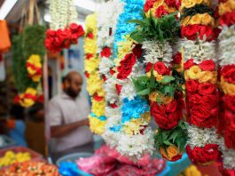 6 Best Experiences in Little India 6 Best Experiences in Little India - Explore Little India’s vibrant shops and markets