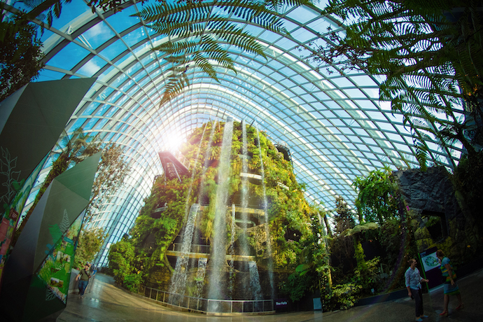 10 Instagram-Worthy Waterfalls to Check Out in Singapore - Cloud Forest at Gardens by the Bay
