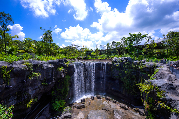 10 Instagram-Worthy Waterfalls to Check Out in Singapore - Waterfall Cavern at Mandai Wildlife WEST