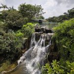 10 Instagram-Worthy Waterfalls to Check Out in Singapore 10 Instagram-Worthy Waterfalls to Check Out in Singapore - Yunnan Garden at Nanyang Technological University (NTU)