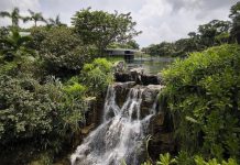 10 Instagram-Worthy Waterfalls to Check Out in Singapore 10 Instagram-Worthy Waterfalls to Check Out in Singapore - Yunnan Garden at Nanyang Technological University (NTU)