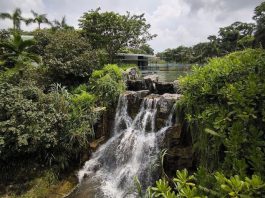 10 Instagram-Worthy Waterfalls to Check Out in Singapore 10 Instagram-Worthy Waterfalls to Check Out in Singapore - Yunnan Garden at Nanyang Technological University (NTU)