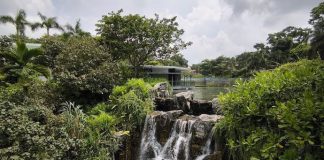 10 Instagram-Worthy Waterfalls to Check Out in Singapore 10 Instagram-Worthy Waterfalls to Check Out in Singapore - Yunnan Garden at Nanyang Technological University (NTU)