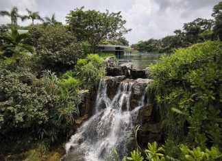 10 Instagram-Worthy Waterfalls to Check Out in Singapore 10 Instagram-Worthy Waterfalls to Check Out in Singapore - Yunnan Garden at Nanyang Technological University (NTU)