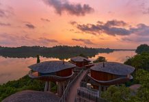 5 Nature-Inspired Experiences at Mandai Rainforest Resort by Banyan Tree 5 Nature-Inspired Experiences at Mandai Rainforest Resort by Banyan Tree - Enjoy a tranquil escape amidst nature in a luxe treehouse