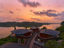 5 Nature-Inspired Experiences at Mandai Rainforest Resort by Banyan Tree 5 Nature-Inspired Experiences at Mandai Rainforest Resort by Banyan Tree - Enjoy a tranquil escape amidst nature in a luxe treehouse
