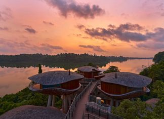 5 Nature-Inspired Experiences at Mandai Rainforest Resort by Banyan Tree 5 Nature-Inspired Experiences at Mandai Rainforest Resort by Banyan Tree - Enjoy a tranquil escape amidst nature in a luxe treehouse