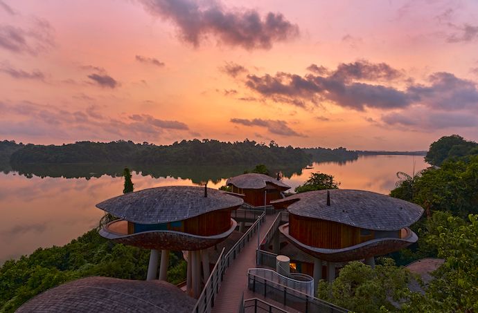 5 Nature-Inspired Experiences at Mandai Rainforest Resort by Banyan Tree - Enjoy a tranquil escape amidst nature in a luxe treehouse