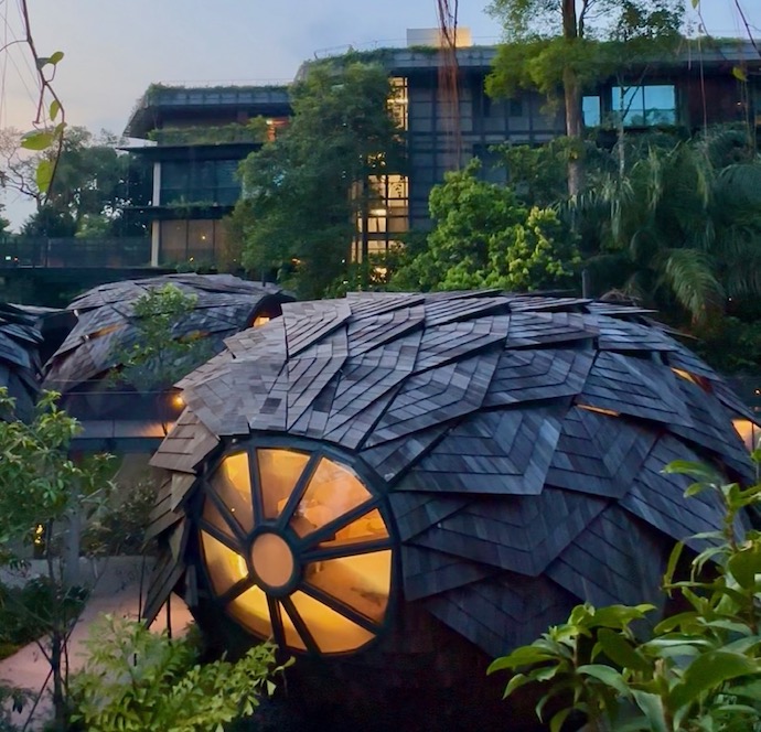5 Nature-Inspired Experiences at Mandai Rainforest Resort by Banyan Tree - Unwind with a rejuvenating treatment at Banyan Tree Spa
