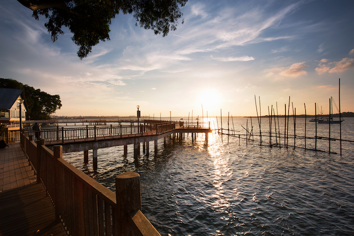 7 Best Things To Do In & Around Changi Village - Soak up scenic views and spot wildlife on Changi Boardwalk