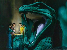 10 Spellbinding Environments To Check Out at the Asian Premiere of Harry Potter: Visions of Magic in Singapore 10 Spellbinding Environments To Check Out at the Asian Premiere of Harry PotterTM: Visions of Magic in Singapore - The Chamber of SecretsTM (SINGAPORE EXCLUSIVE!)